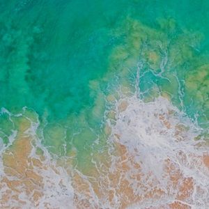 Meet your Posher, Grayson